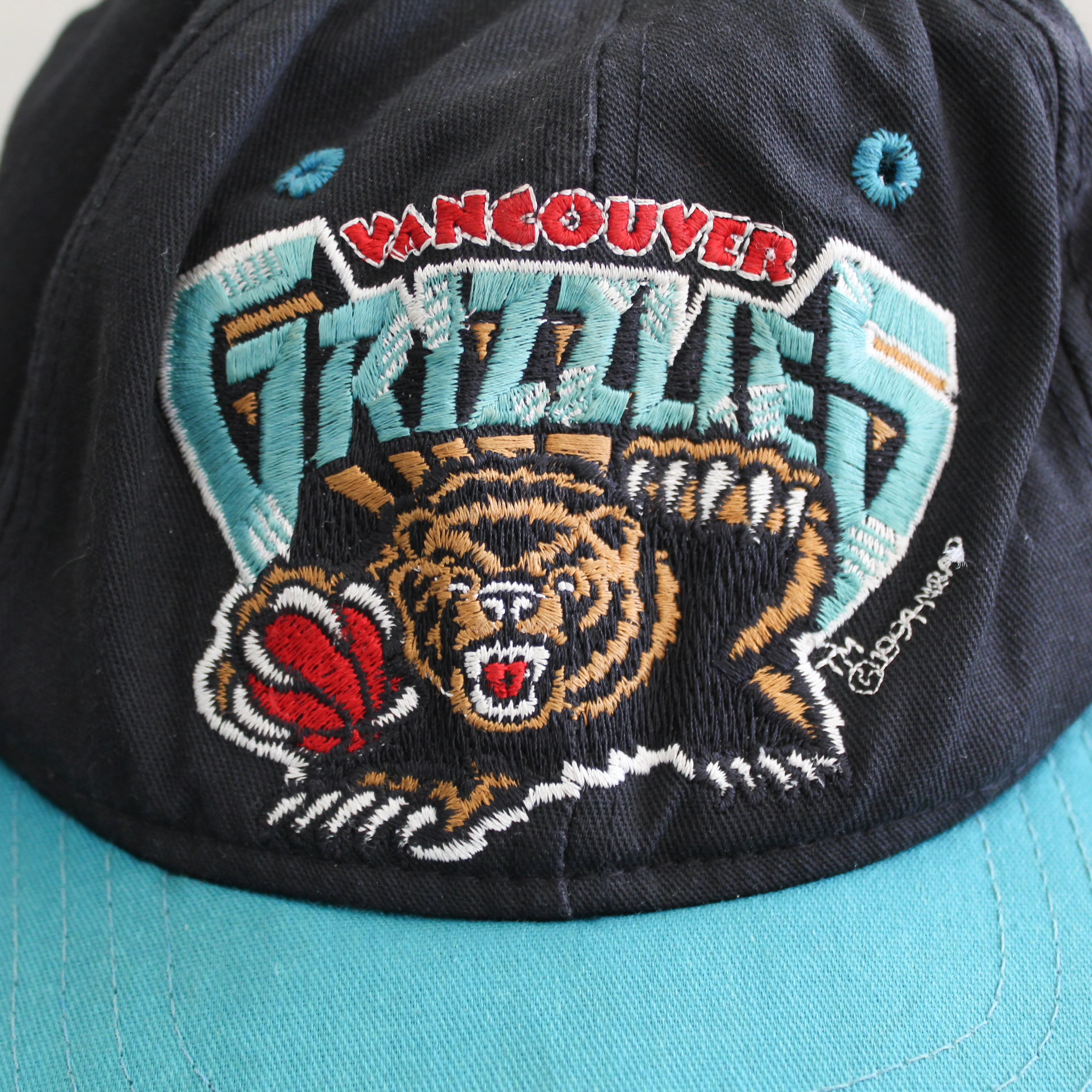 F- Vintage 1994 Vancouver Grizzlies NBA AJD Logo Snapback Hat - Image 3
