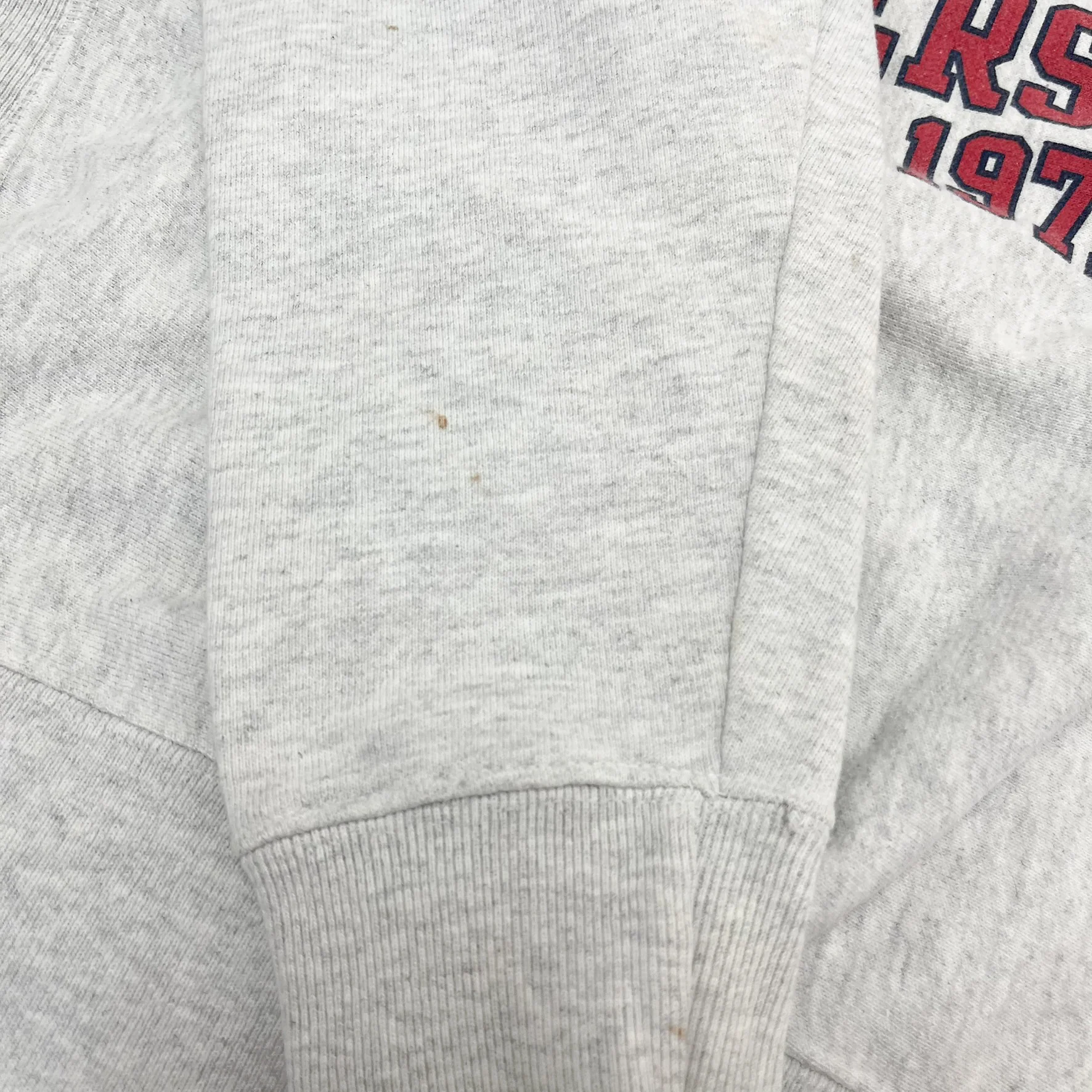 F- Vintage Champion Reverse Weave Liberty University Text Crewneck - Image 4